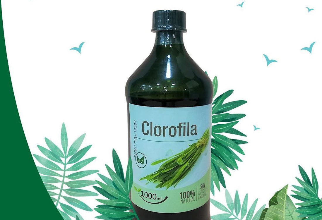 Descubre los beneficios de la clorofila