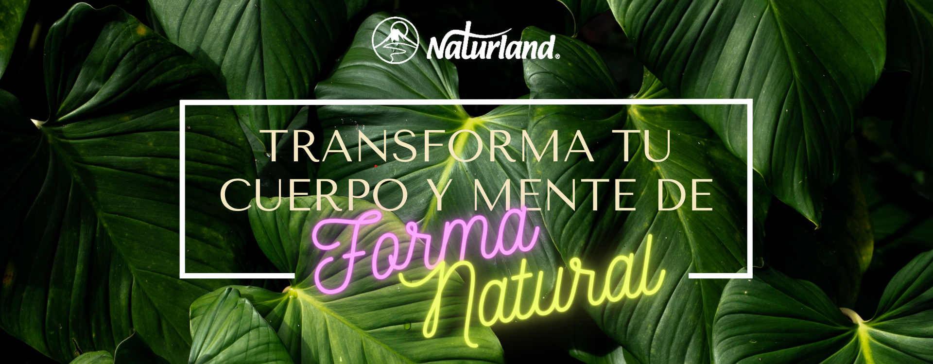 ¡Transforma tu cuerpo y mente de forma natural! Con nuestros productos détox y control de peso 